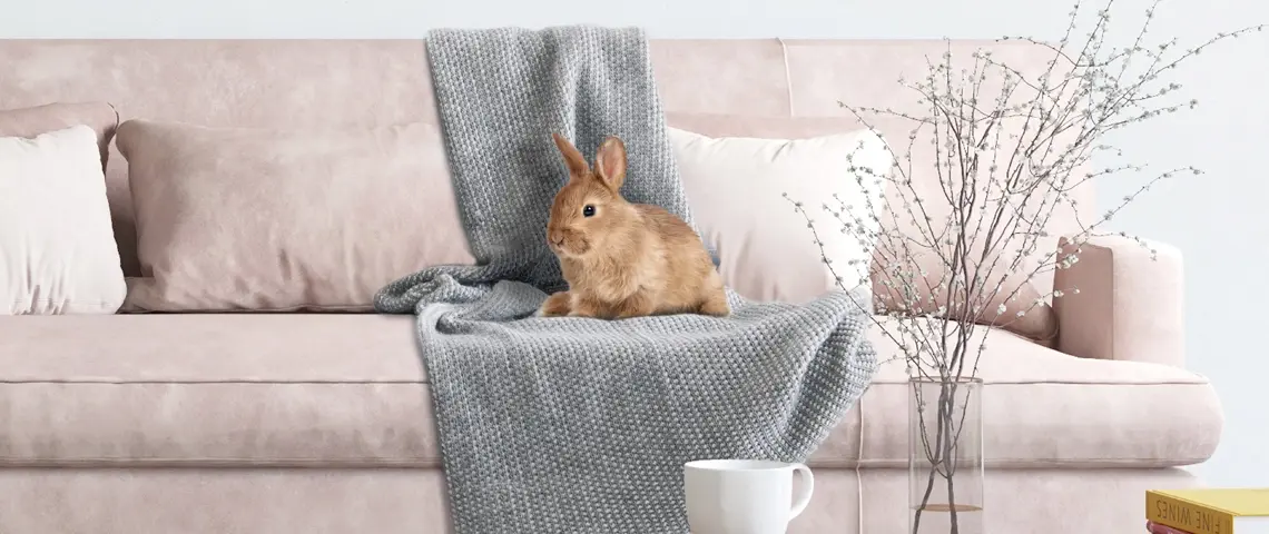 Beaphar RabbitComfort