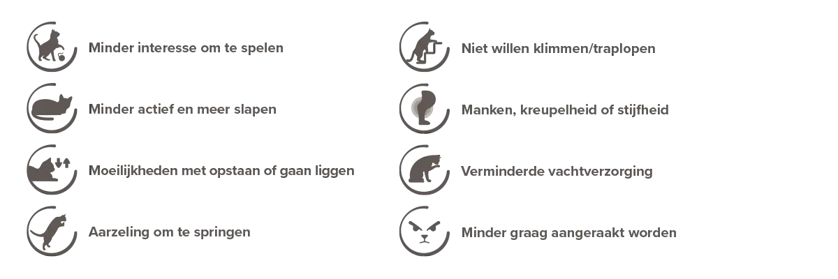 Flexifit iconen kat