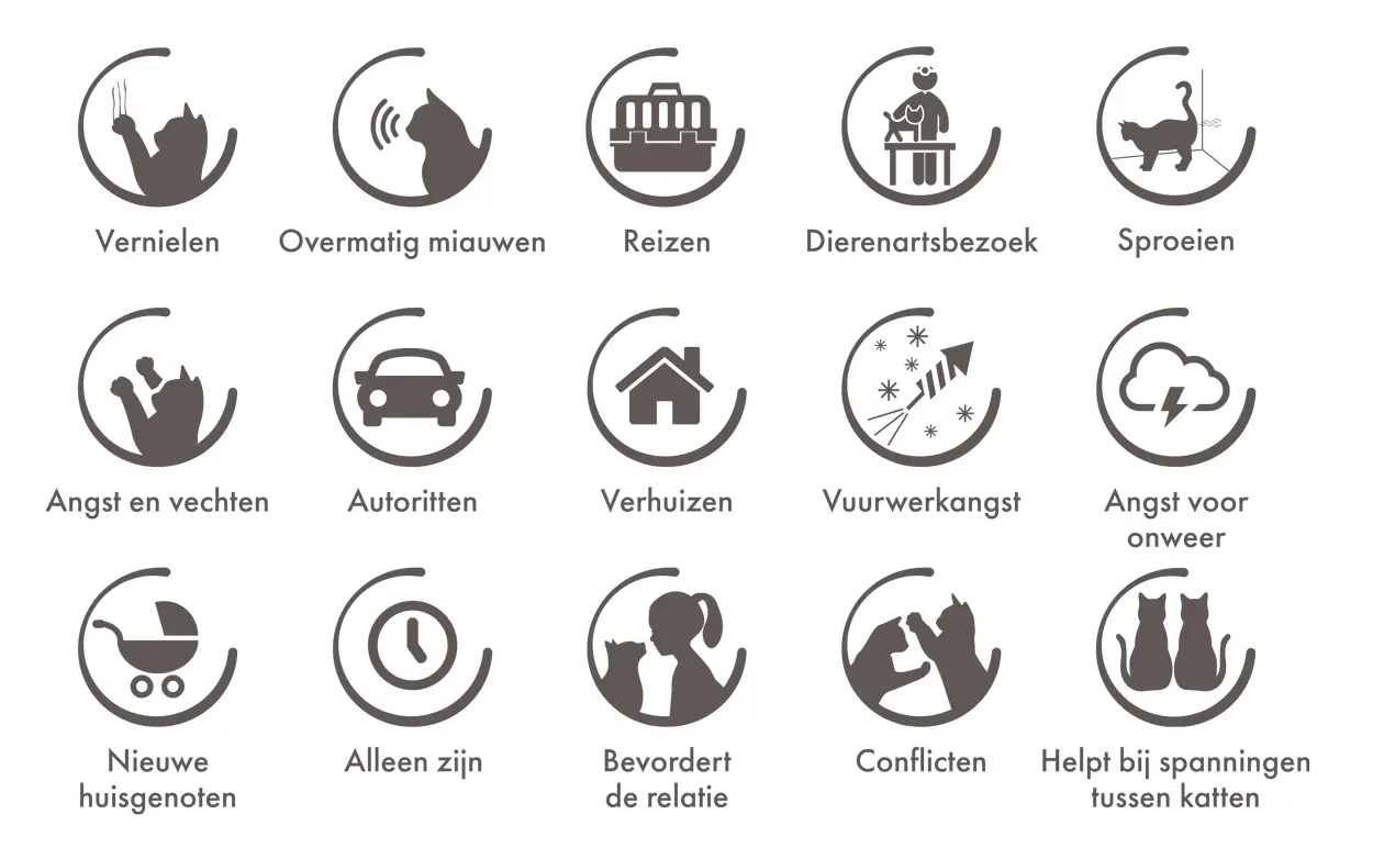 CatComfort situaties voor gebruik