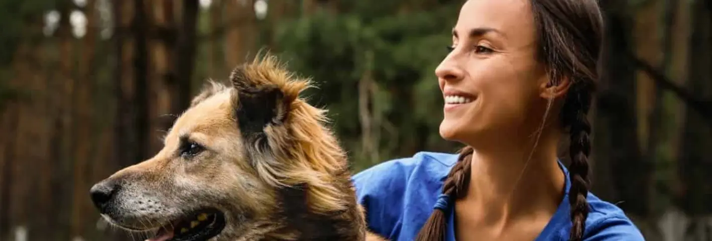 Stichting BVDD-Beaphar