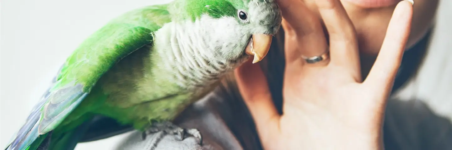 Beaphar Mijten luizen wormen vogel