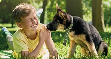 mensen kunnen lintwormeitjes opnemen na contact hond