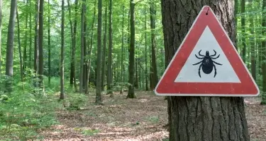 teken waarschuwing in bos