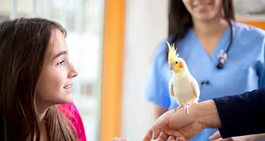 vogel ontwormen