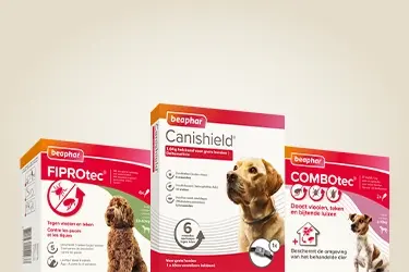 hond zorgeloos genieten zonder parasieten