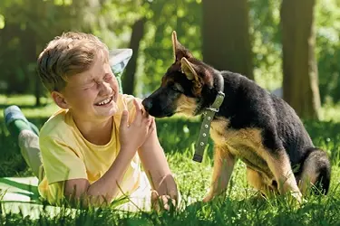 mensen kunnen lintwormeitjes opnemen na contact hond