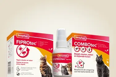 kat zorgeloos genieten zonder parasieten