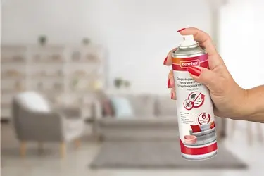 vlooien bestrijden in huis