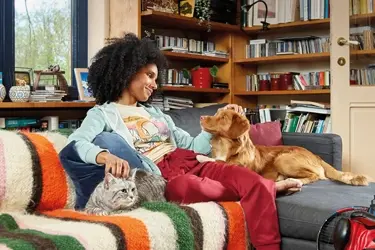 beaphar fiprotec vlooien teken druppels hond kat