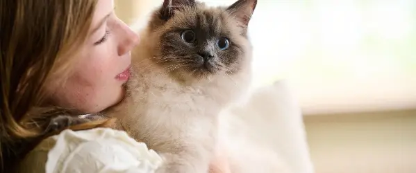 Werken bij Beaphar Huisdieren