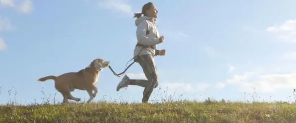 hondensport hardlopen met je hond
