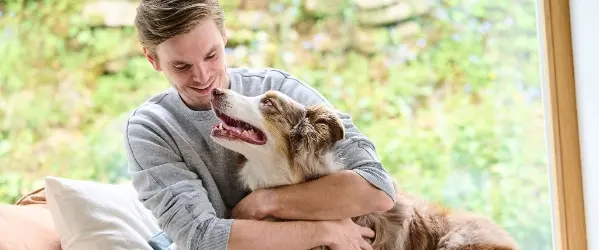 beaphar vacature online marketing