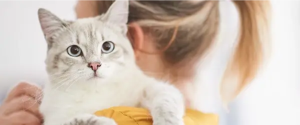 beaphar vacature marketing campaign