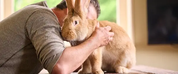 Vacature Grafisch vormgever Beaphar