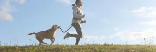hondensport hardlopen met je hond