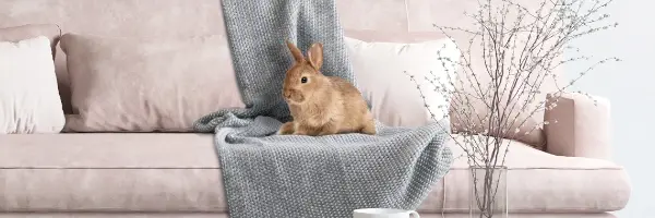 Beaphar RabbitComfort