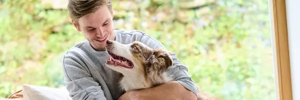 beaphar vacature online marketing